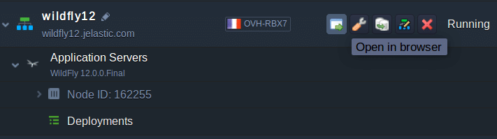 1203-1-wildfly-environment-open-in-browser