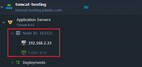 1334-1-tomcat-web-server-container-has-its-own-private-ip-and-unique-dns-record