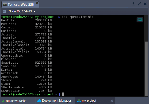 1488-1-view-tomcat-server-ram-usage