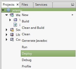 2590-1-netbeans-deploy-project