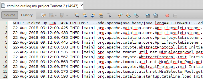 2590-1-netbeans-log-gile-opened-within-project-file