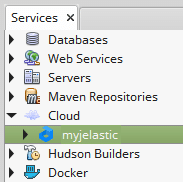 2590-1-netbeans-myjelastic-cloud