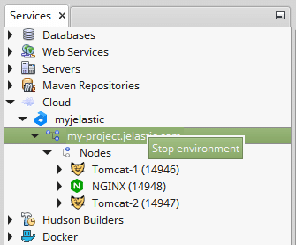 2590-1-netbeans-stop-environment