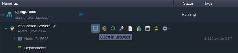 3054-1-open-django-cms-in-browser