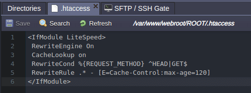 4115-1-litespeed-web-server-htaccess-cache-settings