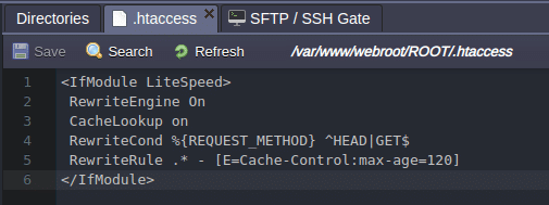 litespeed web server response time high