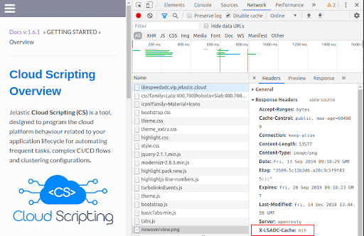 4191-1-litespeed-web-adc-caching-response-headers