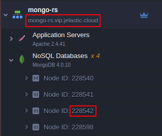 4217-1-mongodb-replica-set-node-id-and-environment-domain
