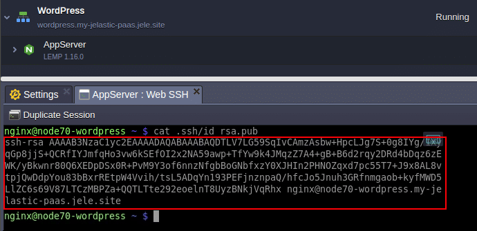 4362-1-migrate-wordpress-website-web-ssh-output-public-key