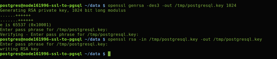 988-1-established-ssh-connection-to-postgresql-server