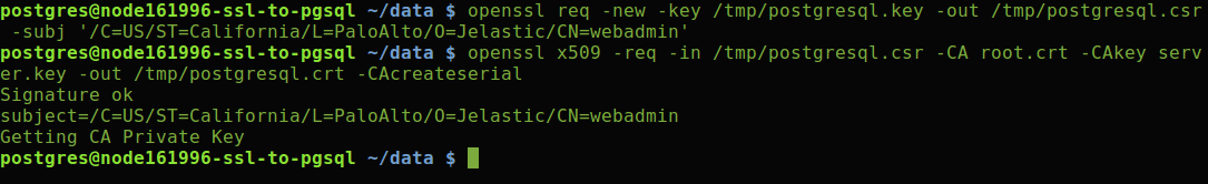 988-1-ssl-certificate-for-your-postgresql-database-user