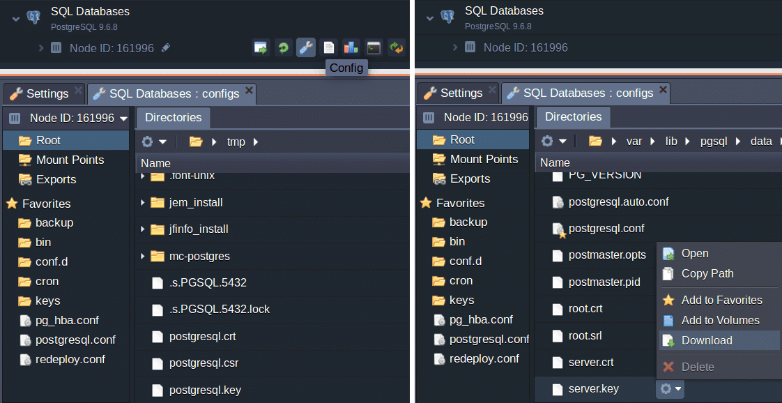 988-1-transfering-files-to-postgresql-folder