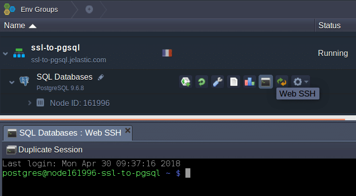 988-1-utilize-embedded-web-ssh-client-and-establish-connection-via-dashboard